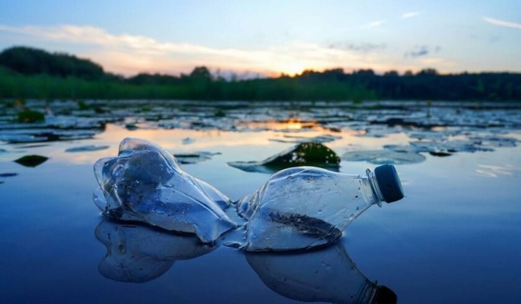 7 plastic waste facts you need to know, and how you can help reduce plastic pollution