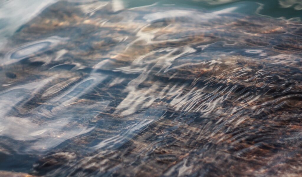 The True Impact of Water Waste and How Thoughtful Design Reduces It